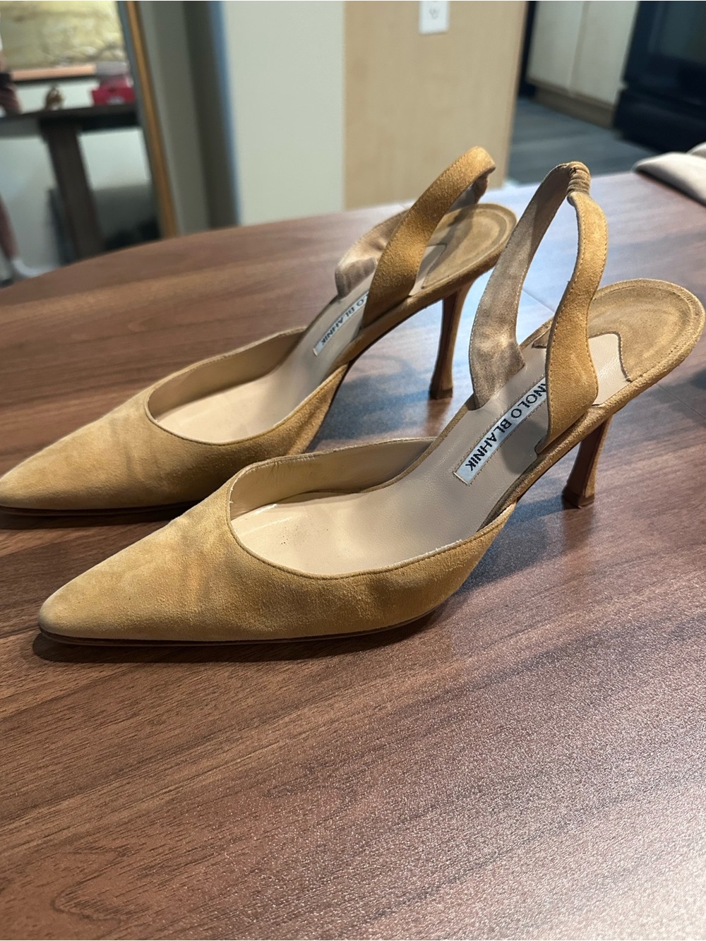 Manolo Blahnik Suede Slingback Pumps